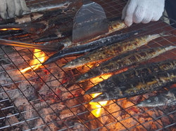 サンマを焼いている様子