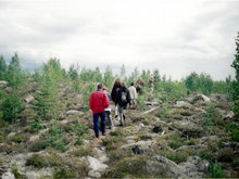 フィンランドの森林。これから作業に行くところ