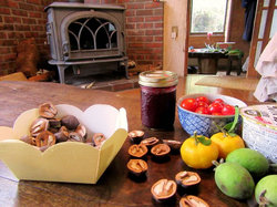 こだわりの薪ストーブ、フォルムが実に美しい！テーブルからも庭の豊かさが伺える