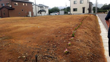この地域に住んでいる人たちで、協力しながらお花を育てているようです。