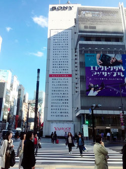 掲示は12日まで
