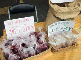 1103hanamatsuri01.jpg